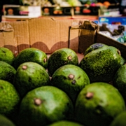 avocados-stockpack-unsplash.jpg Avocados