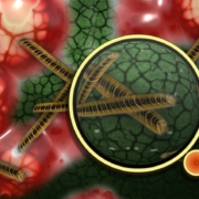bacteria-bacterial-species-imitation-stockpack-pixabay.jpg bacteria, bacterial species, imitation