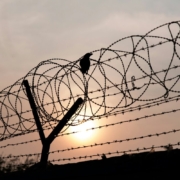 black-bird-perched-on-barb-wire-during-sundown-stockpack-unsplash.jpg black bird perched on barb wire during sundown