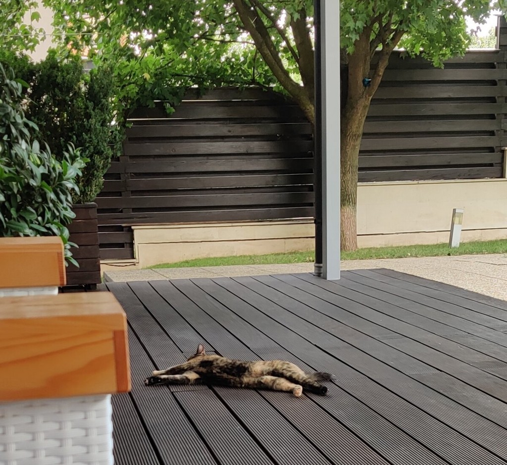 decking pisica terasa