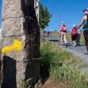 Camino de Santiago