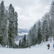 snow-skiing-people-stockpack-pixabay.jpg snow, skiing, people