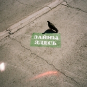 urban-pigeon-on-sidewalk-with-russian-graffiti-stockpack-pexels.jpg Urban pigeon on sidewalk with russian graffiti