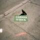 urban-pigeon-on-sidewalk-with-russian-graffiti-stockpack-pexels.jpg Urban pigeon on sidewalk with russian graffiti