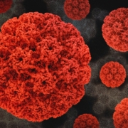 human-papillomavirus-hpv-3d-renderings-of-the-human-papillomavirus-hpv-capsid-red-against-a-background-image-that-is-an-inverted-transmission-electron-micrograph-of-hpv-virus-particles-harvested-and-p-stockpack-unsplash.jpg Human Papillomavirus (HPV) 3D renderings of the human papillomavirus (HPV) capsid (red) against a background image that is an inverted transmission electron micrograph of HPV virus particles harvested and purified from cell culture supernatant. HPV infection can be asymptomatic, cause warts, or disrupt cell growth. 3D rendering by NIH 3D (3d.nih.gov/); micrograph captured at the NIAID Integrated Research Facility (IRF) in Fort Detrick, Maryland. Note: not to scale. Credit: NIAID