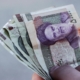 Person holding rial bills