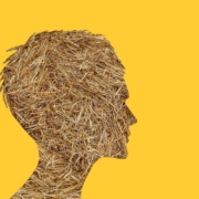 straw-head-ignorance-stockpack-pixabay.jpg straw, head, ignorance