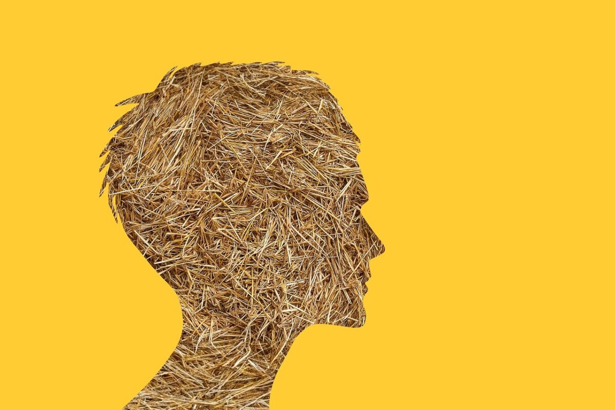 straw-head-ignorance-stockpack-pixabay.jpg straw, head, ignorance