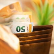 Wallet with euro currency notes and plant