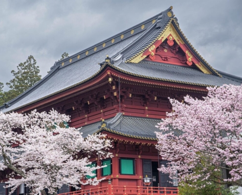 cherry-sanctuary-buddhism-shintoism-architecture-nikko-japan-stockpack-pixabay.jpg cherry, sanctuary, buddhism, shintoism, architecture, nikko, japan, nikko, nikko, nikko, nikko, nikko