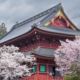 cherry-sanctuary-buddhism-shintoism-architecture-nikko-japan-stockpack-pixabay.jpg cherry, sanctuary, buddhism, shintoism, architecture, nikko, japan, nikko, nikko, nikko, nikko, nikko