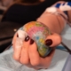 earth-blood-drive-blood-donation-stockpack-pixabay.jpg earth, blood drive, blood donation