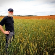 farmer-grain-food-ecological-stockpack-pixabay.jpg farmer, grain, food, ecological, farmer, farmer, farmer, farmer, farmer