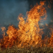 fire-field-firefighting-stockpack-pixabay.jpg fire, field, firefighting