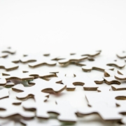 white-puzzle-pieces-stockpack-unsplash.jpg White Puzzle Pieces