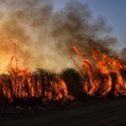 wildfire-bushfire-flames-stockpack-pixabay.jpg wildfire, bushfire, flames