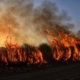 wildfire-bushfire-flames-stockpack-pixabay.jpg wildfire, bushfire, flames