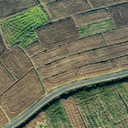 aerial-view-of-agricultural-fields-with-road-stockpack-pexels.jpg Aerial view of agricultural fields with road