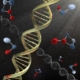 dna-micro-technology-genetic-cell-connectcompetition-stockpack-pixabay.jpg dna, micro, technology, genetic, cell, connectcompetition, dna, dna, dna, dna, dna, genetic