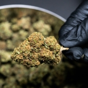 follow us on instagram @crystalweed_official
if you want, credit us by linking back our website www.crystalweed.it