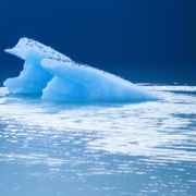 glacier-sea-ocean-water-nature-iceberg-antarctica-blue-cold-climate-hd-wallpaper-stockpack-pixabay.jpg glacier, nature background, sea, ocean, water, beautiful nature, nature, iceberg, antarctica, blue, cold, climate, hd wallpaper, glacier, glacier, nature wallpaper, glacier, glacier, iceberg, iceberg, iceberg, iceberg, iceberg, antarctica, antarctica, antarctica