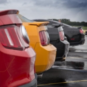 shelby-muscle-car-car-mustang-vehicle-ford-mustang-stockpack-pixabay.jpg shelby, muscle car, car, mustang, vehicle, ford mustang, shelby, mustang, mustang, mustang, mustang, car wallpapers, ford mustang, ford mustang, ford mustang, ford mustang, ford mustang