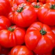 tomatoes-fruit-food-red-tomatoes-ripe-organic-fresh-healthy-vitamin-nutrition-stockpack-pixabay.jpg tomatoes, fruit, food, red tomatoes, ripe, organic, fresh, healthy, vitamin, nutrition, tomatoes, tomatoes, tomatoes, tomatoes, tomatoes