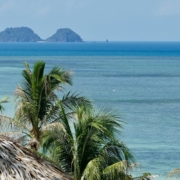 tropical-beach-sand-coast-travel-summer-island-idyllic-ocean-palm-tree-sea-vacations-ease-sun-green-blue-paradise-exotic-bay-waters-heaven-tourism-thailand-ko-phangan-stockpack-pixabay.jpg tropical, beach, sand, coast, travel, summer, island, idyllic, ocean, palm tree, sea, vacations, ease, sun, nature, green blue, paradise, exotic, bay, waters, heaven, tourism, thailand, ko phangan, ko phangan, ko phangan, ko phangan, ko phangan, ko phangan