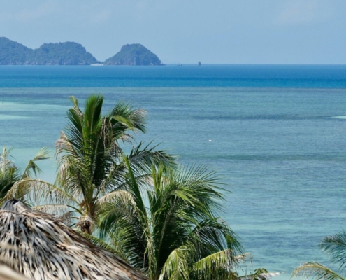 tropical-beach-sand-coast-travel-summer-island-idyllic-ocean-palm-tree-sea-vacations-ease-sun-green-blue-paradise-exotic-bay-waters-heaven-tourism-thailand-ko-phangan-stockpack-pixabay.jpg tropical, beach, sand, coast, travel, summer, island, idyllic, ocean, palm tree, sea, vacations, ease, sun, nature, green blue, paradise, exotic, bay, waters, heaven, tourism, thailand, ko phangan, ko phangan, ko phangan, ko phangan, ko phangan, ko phangan
