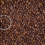 coffee-coffee-beans-cup-mug-beans-roasted-roasted-coffee-roasted-coffee-beans-brown-caffeine-food-cafe-roast-aroma-stockpack-pixabay.jpg coffee, coffee beans, cup, mug, beans, roasted, roasted coffee, roasted coffee beans, brown, coffee cup, caffeine, food, cafe, roast, aroma, coffee, coffee, coffee, coffee, coffee, coffee beans