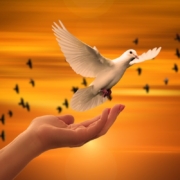 dove-freedom-peace-trust-prayer-soul-spiritual-sunset-faith-concept-stockpack-pixabay.jpg dove, freedom, peace, trust, nature, prayer, soul, spiritual, sunset, faith, concept, dove, peace, peace, peace, peace, peace, prayer, spiritual