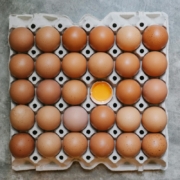 eggs-in-rows-in-carton-container-stockpack-pexels.jpg Eggs in rows in carton container