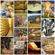 collage-cheese-dairy-product-food-cheeses-meal-cheese-platter-soft-cheese-cheese-plate-cows-goats-dairy-milk-cans-cheese-shelf-enjoyment-enjoy-the-meal-nourishment-bread-topping-enjoy-specialty-parmes-stockpack-pixabay.jpg collage, cheese, dairy product, food, cheeses, meal, cheese platter, soft cheese, cheese plate, cows, goats, dairy, milk cans, cheese shelf, enjoyment, enjoy the meal, nourishment, bread topping, enjoy, specialty, parmesan, milk, hearty, ingredient, kitchen, delicacy, cheese, cheese, cheese, cheese, cheese, dairy, dairy, dairy, milk, milk, milk