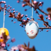 easter-easter-egg-branch-blue-pink-cherry-colored-egg-colorful-eastercollection-blue-egg-blue-eggs-blue-color-stockpack-pixabay.jpg easter, easter egg, branch, blue, pink, cherry, colored, egg, colorful, eastercollection, blue egg, blue eggs, blue color, easter, easter, easter, easter, easter