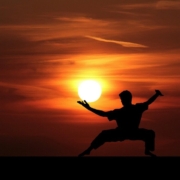 fu-kung-kungfu-master-silhouette-martial-china-art-mental-japanese-sun-sunset-warrior-action-active-aerobic-body-chi-cloudy-combat-demonstration-exercise-fight-fighter-sport-stockpack-pixabay.jpg fu, kung, kungfu, master, silhouette, martial, china, art, mental, japanese, nature, sun, sunset, warrior, action, active, aerobic, body, chi, cloudy, combat, demonstration, exercise, fight, fighter, sport