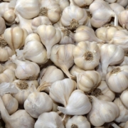 garlic-vegetables-food-healthy-fresh-cook-ingredients-raw-bio-nourishment-vitamins-spices-kitchen-market-spice-meal-stockpack-pixabay.jpg garlic, vegetables, food, healthy, fresh, cook, ingredients, raw, bio, nourishment, vitamins, spices, kitchen, market, spice, meal, garlic, garlic, garlic, garlic, garlic