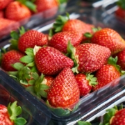 strawberries-stockpack-unsplash.jpg strawberries