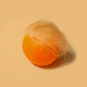 trumps-hair-stockpack-unsplash.jpg Trump's hair