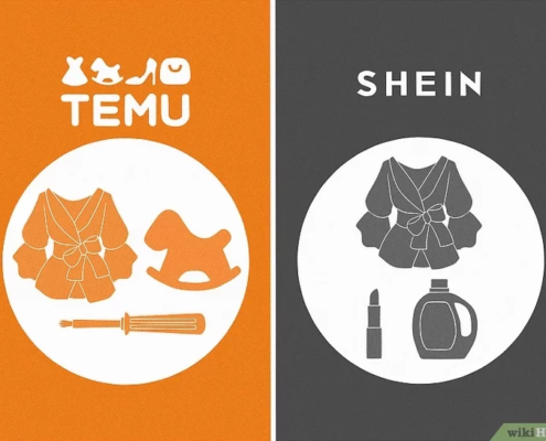 v4-728px-Is-Temu-Like-Shein-Step-1-Version-2.jpg