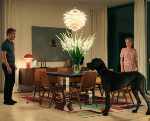 3. PEACOCK_Still_1 (c) NGF Geyrhalterfilm-CALA Film-Albin Wildner