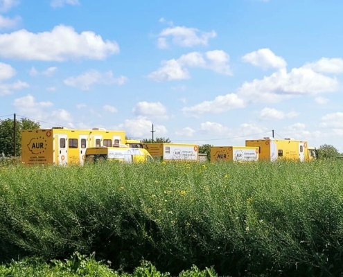 AUR caravana medicala camp