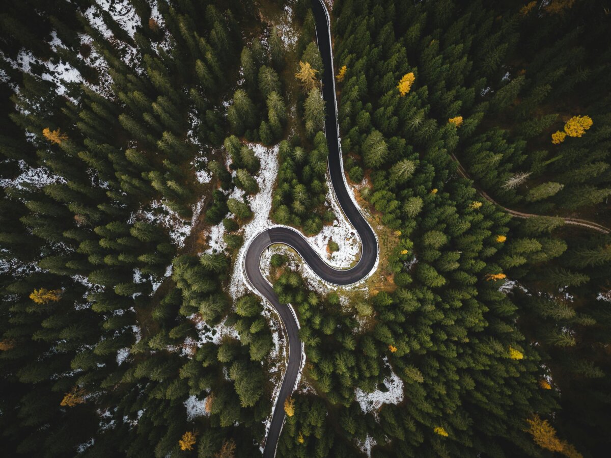 bird-s-eye-view-of-roadway-surrounded-by-trees-stockpack-pexels.jpg Bird s eye view of roadway surrounded by trees