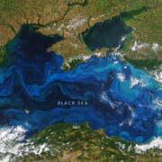 blacksea_vir_2022171