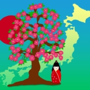 cherry blossoms, tree, nature, japan map, kimono, doll, sun, flag, drawing, design, japan