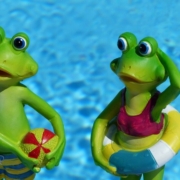 frog, to bathe, vacations, bathing vacation, summer, nature, water, decorative items, swim, ready to swim