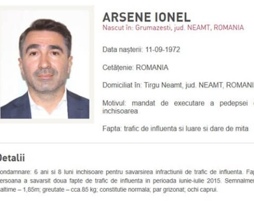 ionel_arsene_large