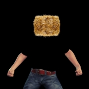 man, fists, straw, straw bales, fist, macho, stupidity, brutality, brutal, dog, fighter, aggression, battle, violent, posturing
