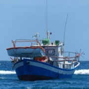 ship, boat, sea, ocean, fisheries, fishing activity, nature, fishing