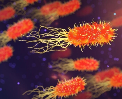bacteria-microbiology-organism-biology-science-medicine-healthcare-microscopic-disease-genetic-stockpack-pixabay.jpg bacteria, microbiology, organism, biology, science, medicine, healthcare, microscopic, disease, genetic, bacteria, bacteria, bacteria, bacteria, bacteria