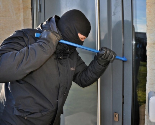 burglar, mask, kuhfuss, burglar, burglar, burglar, burglar, burglar